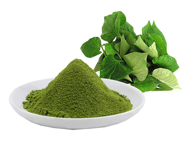 bột diếp cá giàu dinh dưỡng